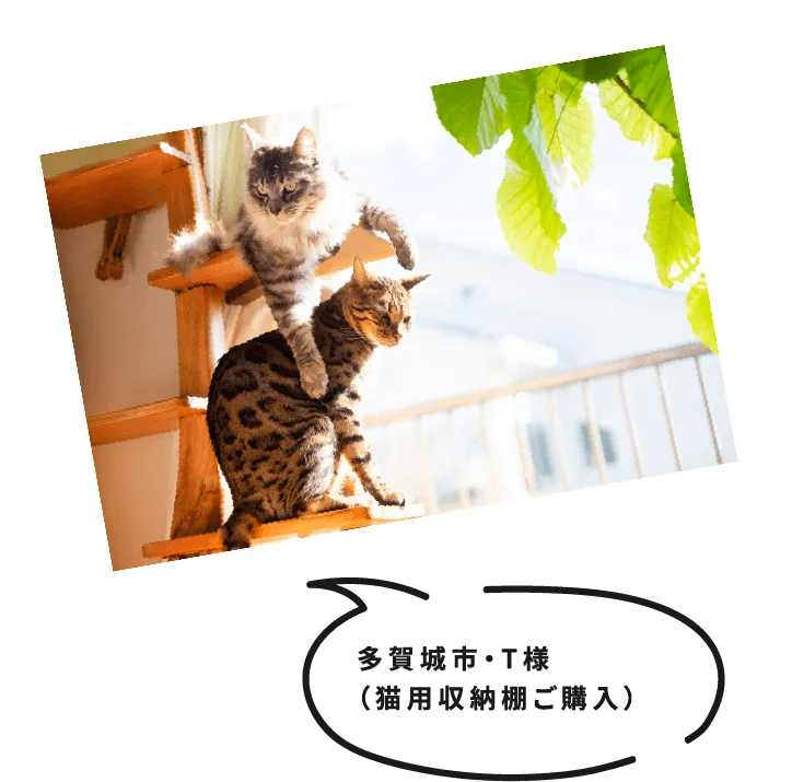 多賀城市・T様(猫用収納棚ご購入)